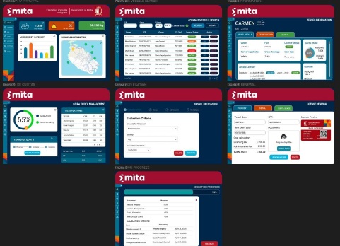 FIIS Screenshot 1